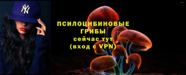 spice Белоозёрский
