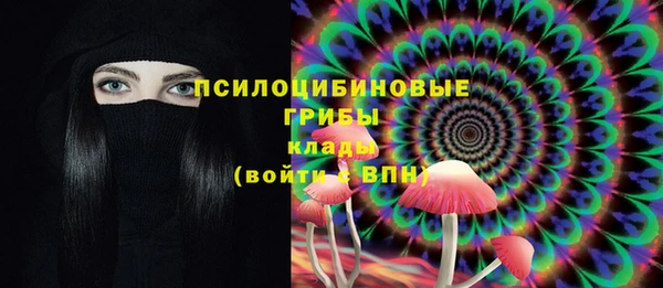 mdpv Рославль